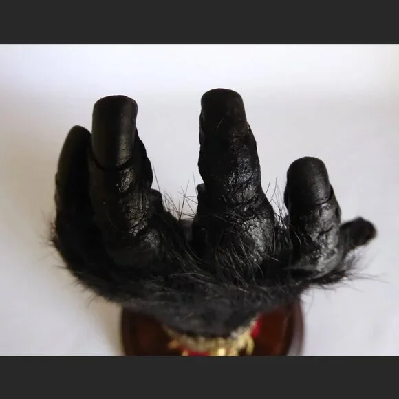 16” REAL TAXIDERMY “CURSED” MONKEY PAW HAND IN GLASS DOME DISPLAY BASE ODDITY - Picture 9 of 15